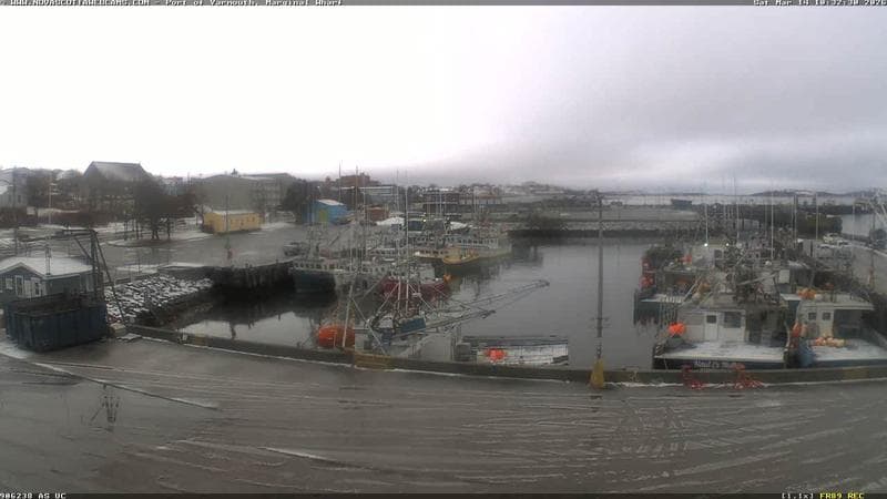 Marginal Wharf South