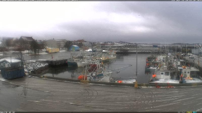 Marginal Wharf South