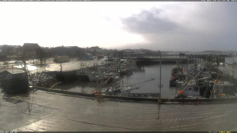 Marginal Wharf South