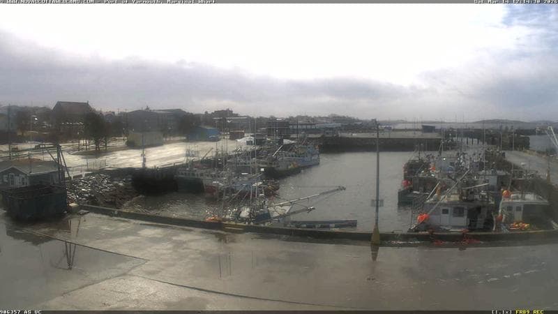 Marginal Wharf South