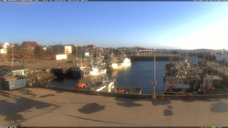 Marginal Wharf South