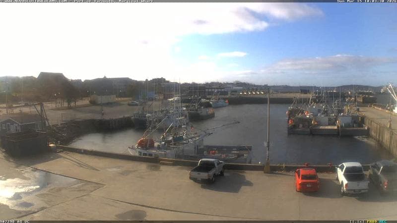 Marginal Wharf South