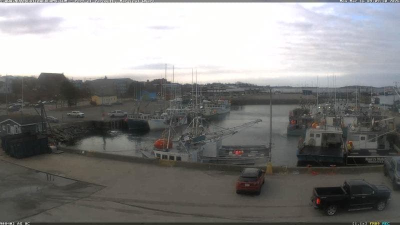 Marginal Wharf South