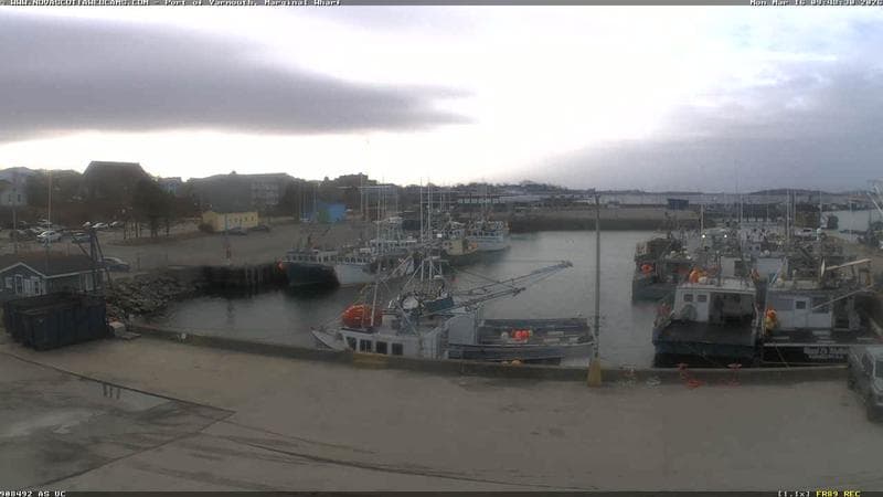 Marginal Wharf South