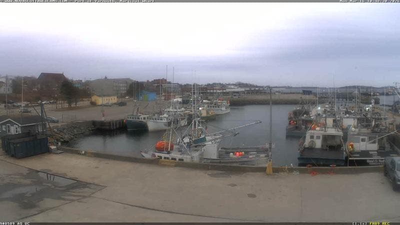 Marginal Wharf South