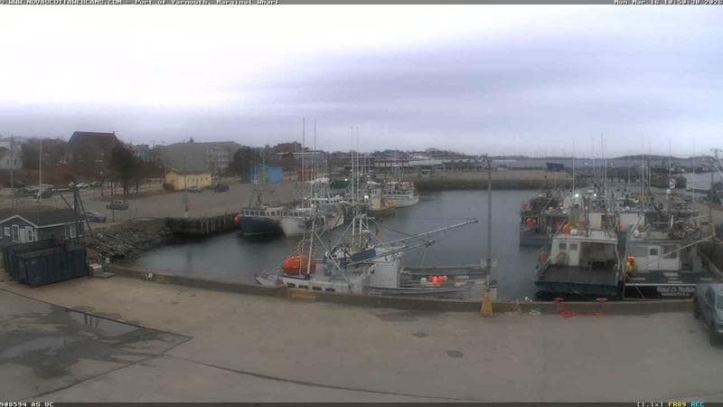 Marginal Wharf South