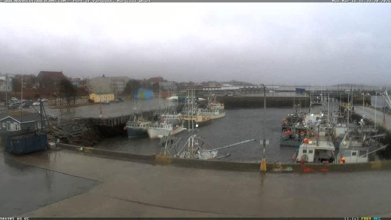 Marginal Wharf South