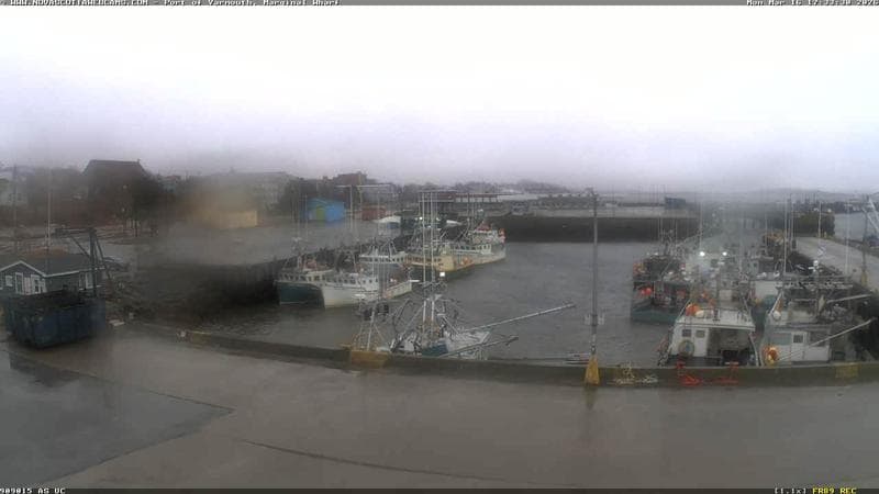 Marginal Wharf South