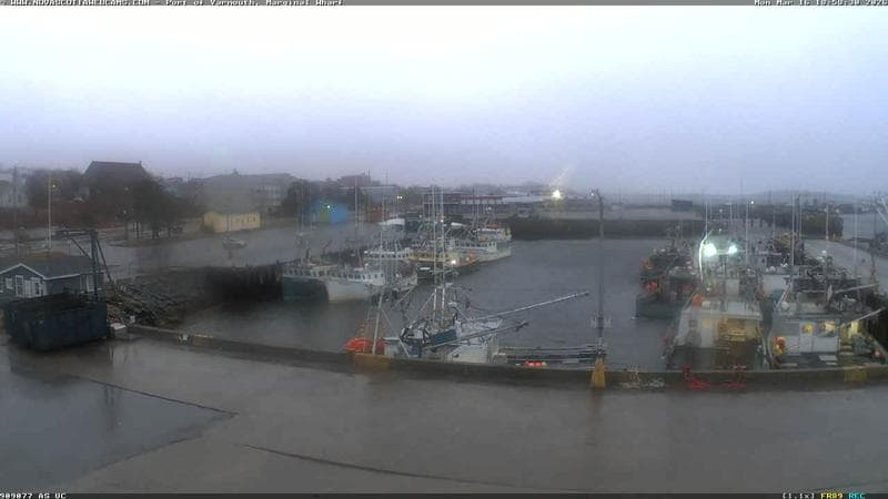 Marginal Wharf South