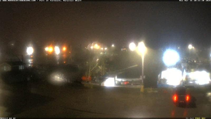 Marginal Wharf South