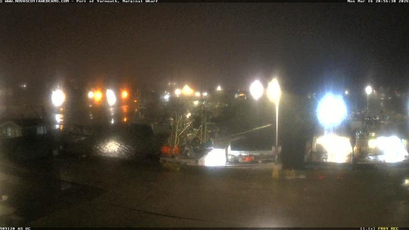 Marginal Wharf South