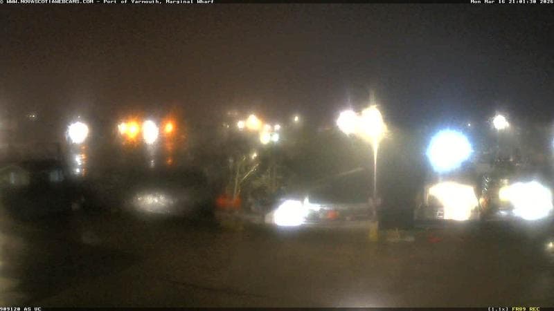 Marginal Wharf South