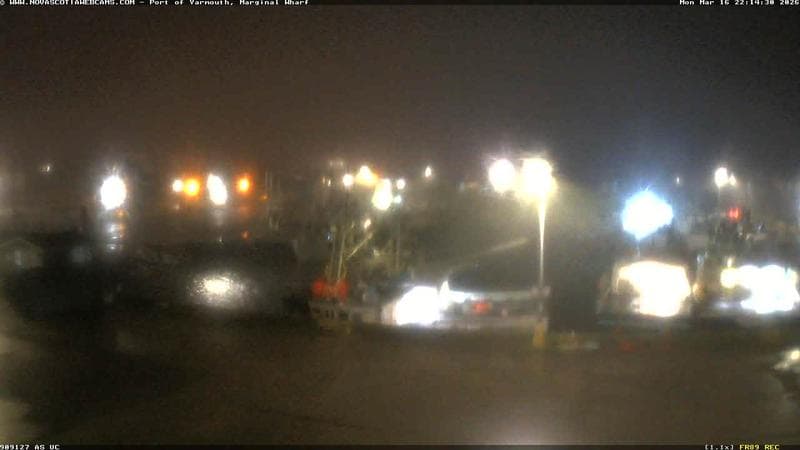 Marginal Wharf South