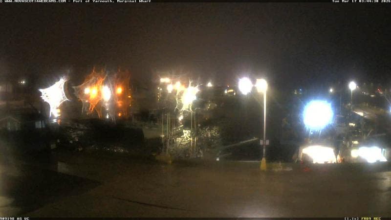 Marginal Wharf South