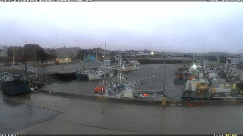 Marginal Wharf South