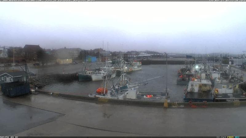 Marginal Wharf South