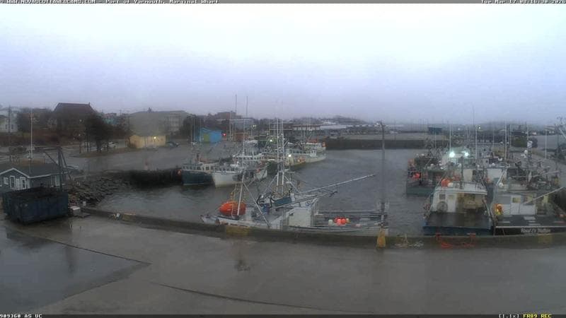 Marginal Wharf South