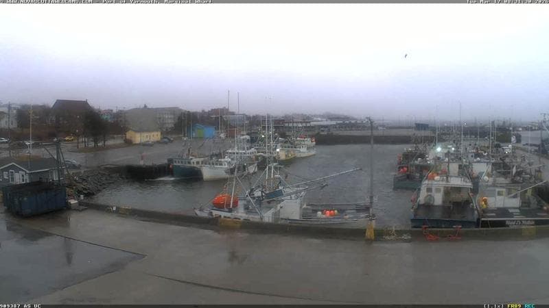 Marginal Wharf South