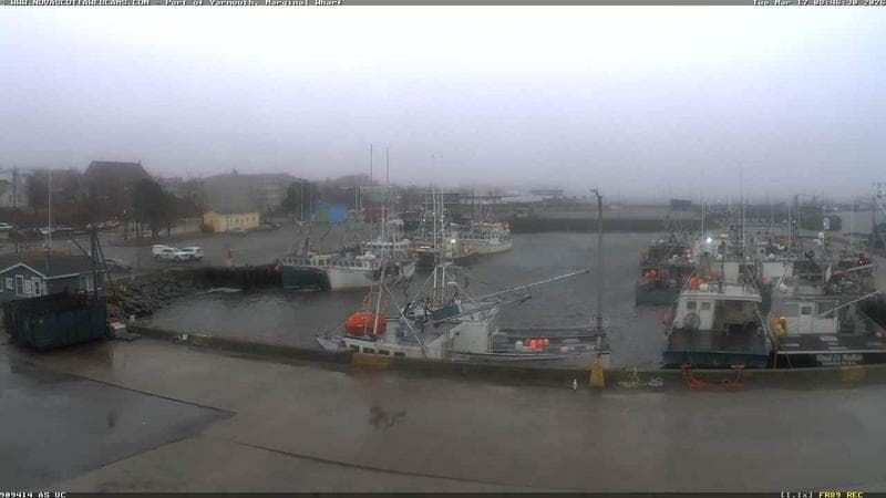 Marginal Wharf South