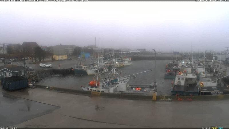 Marginal Wharf South