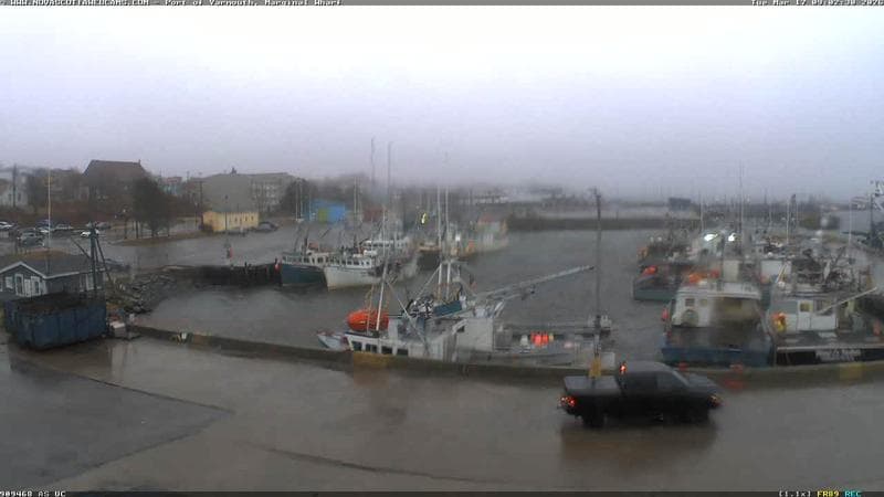 Marginal Wharf South