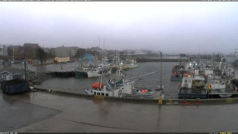 Marginal Wharf South