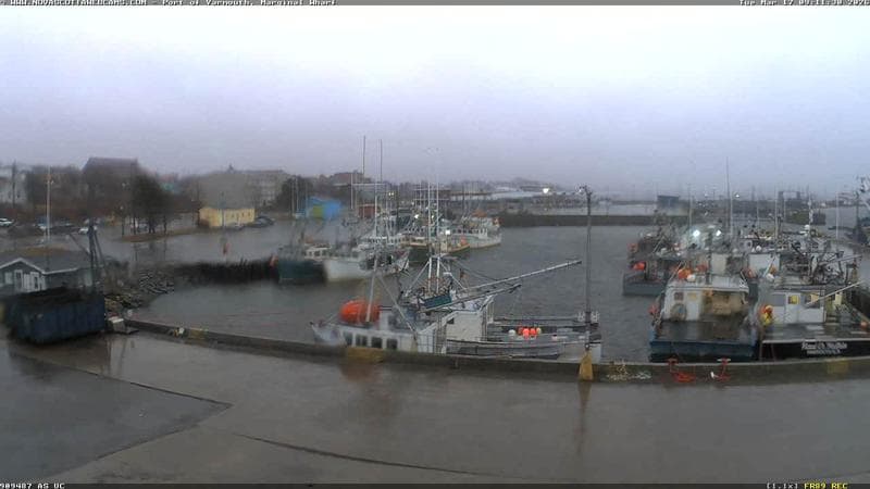 Marginal Wharf South