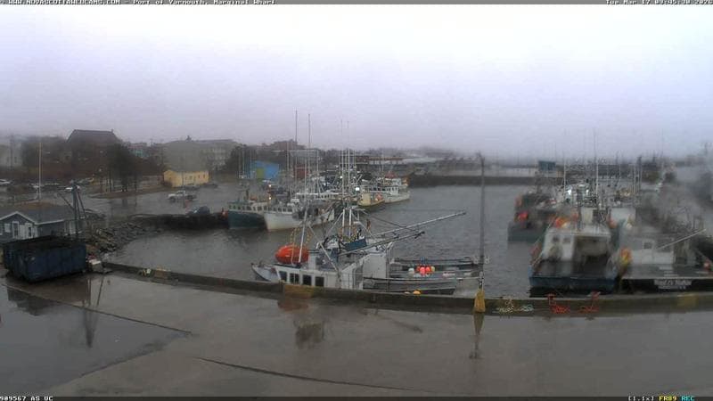 Marginal Wharf South