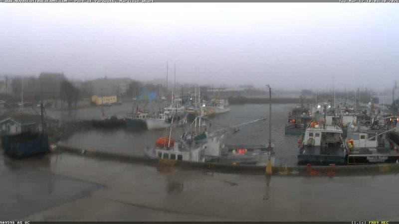 Marginal Wharf South