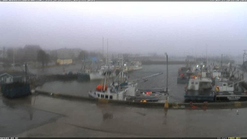 Marginal Wharf South