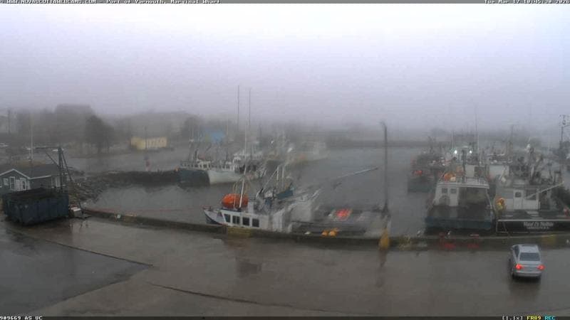 Marginal Wharf South