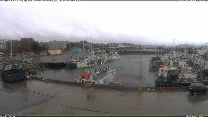 Marginal Wharf South