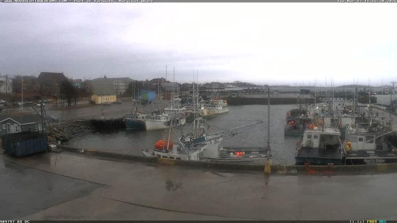 Marginal Wharf South