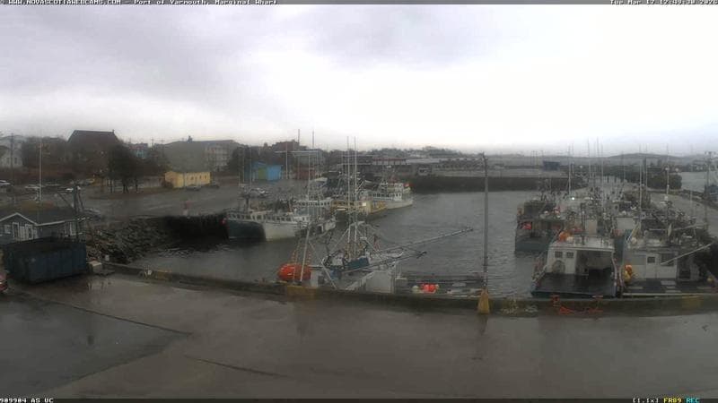 Marginal Wharf South