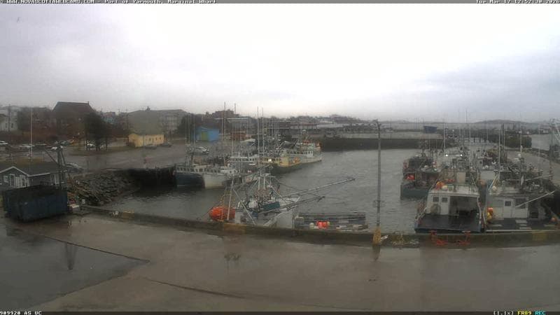 Marginal Wharf South