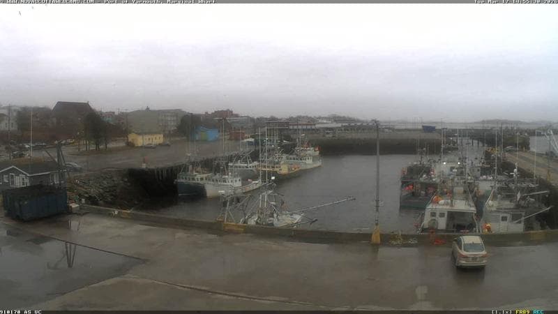 Marginal Wharf South