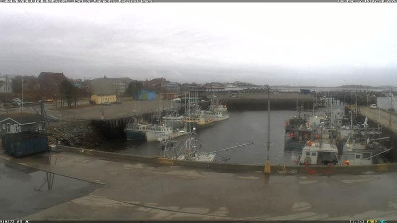 Marginal Wharf South