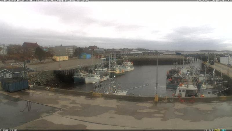 Marginal Wharf South