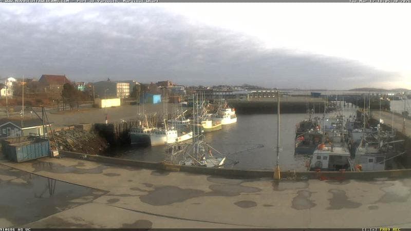 Marginal Wharf South