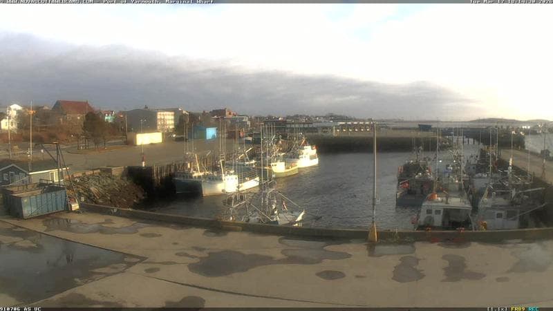 Marginal Wharf South