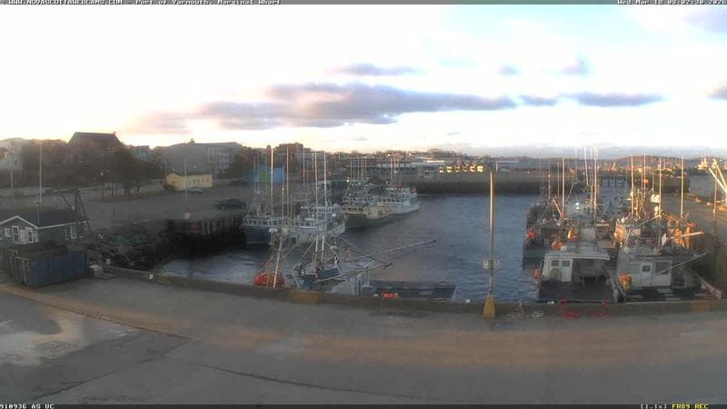 Marginal Wharf South