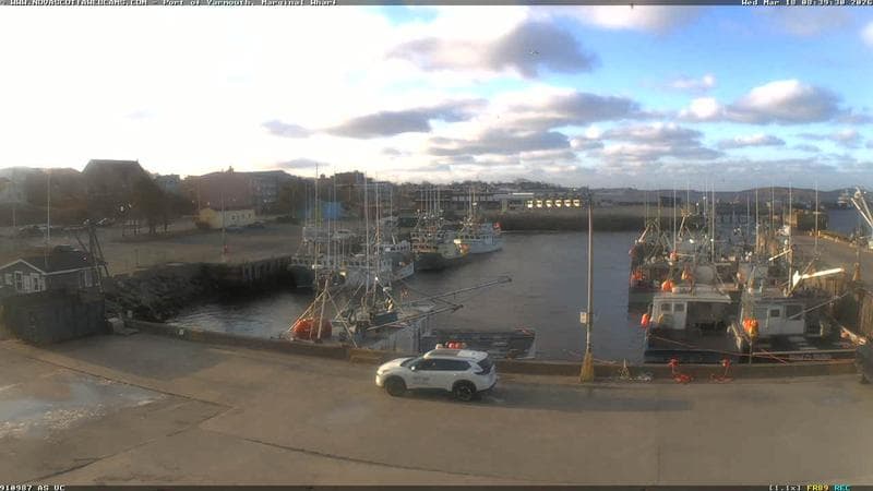 Marginal Wharf South