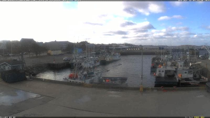 Marginal Wharf South