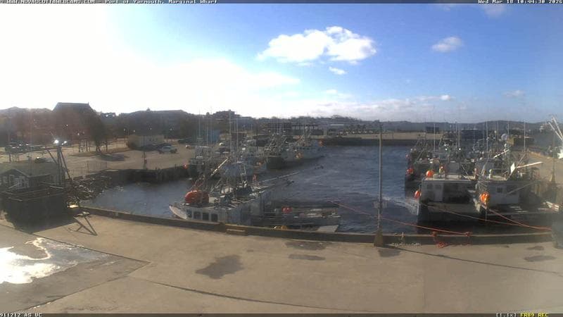 Marginal Wharf South