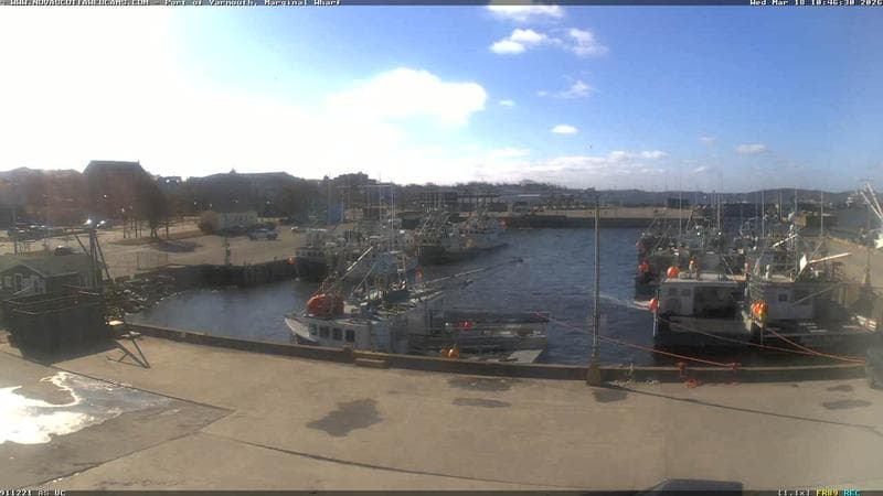 Marginal Wharf South