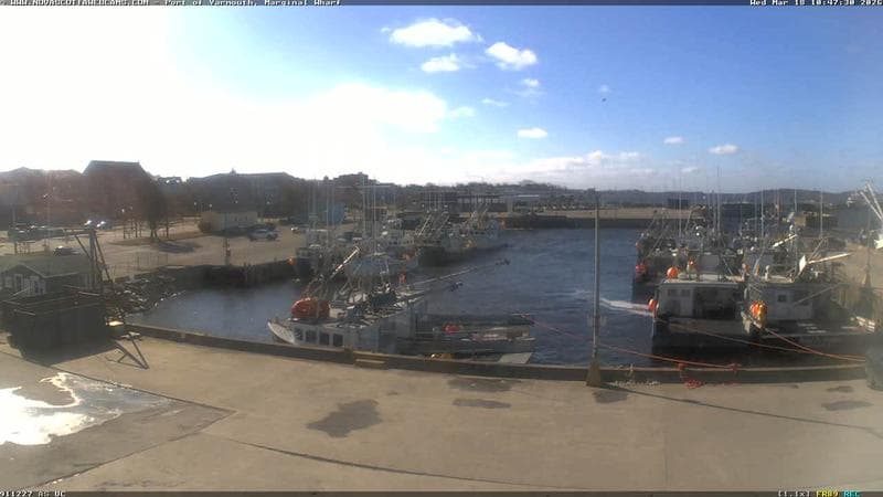 Marginal Wharf South