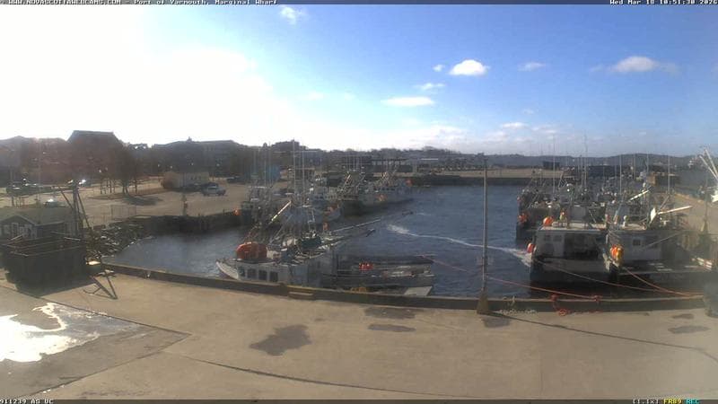 Marginal Wharf South