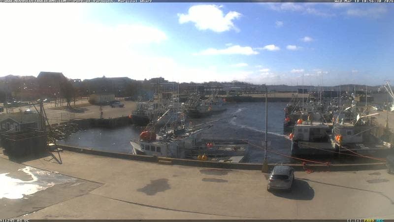 Marginal Wharf South