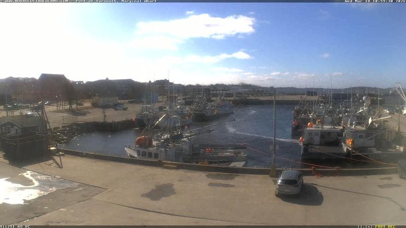 Marginal Wharf South