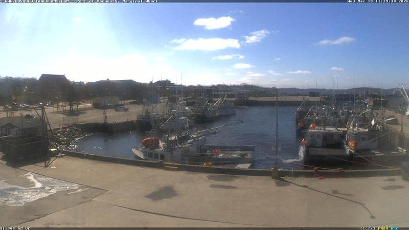 Marginal Wharf South